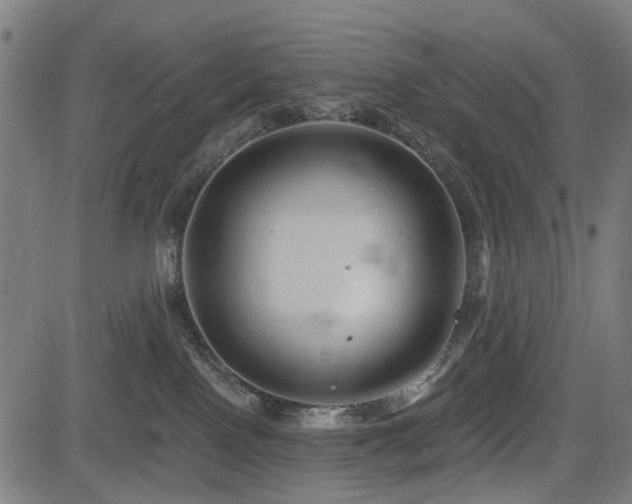 X0000083610090200702121126