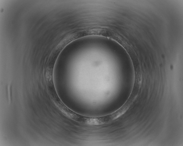 X0000083610091200702121126