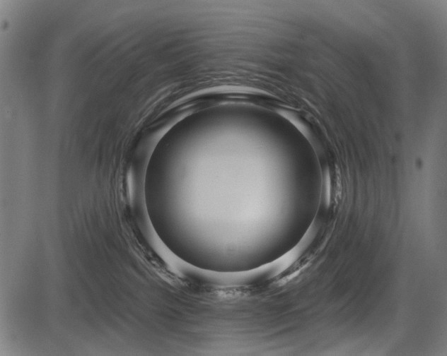 X0000083610092200702121126