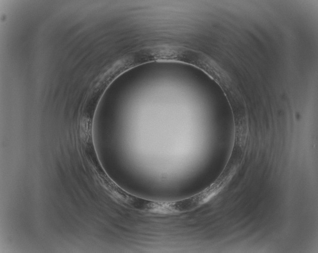 X0000083610093200702121126