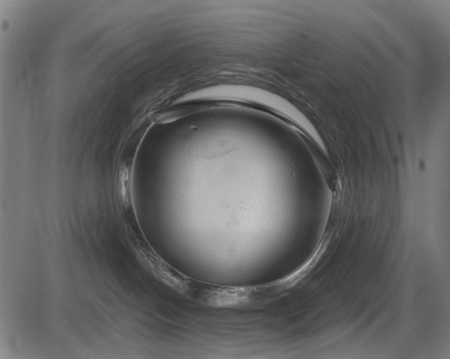 X0000083610094200702121126