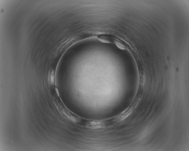 X0000083610095200702121126