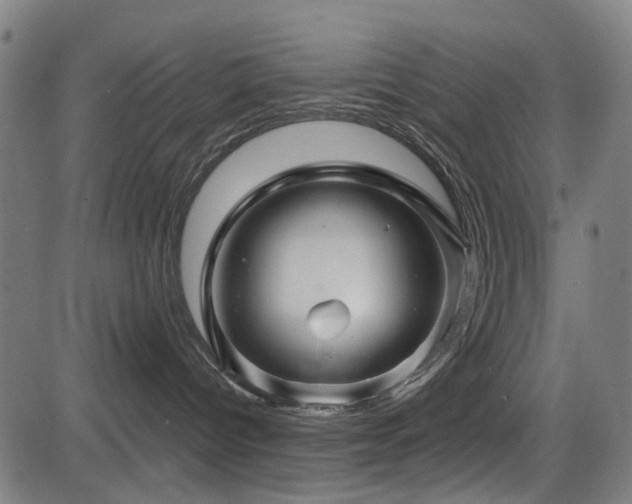 X0000083610096200702121126