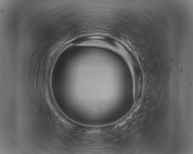 X0000083610097200702121125