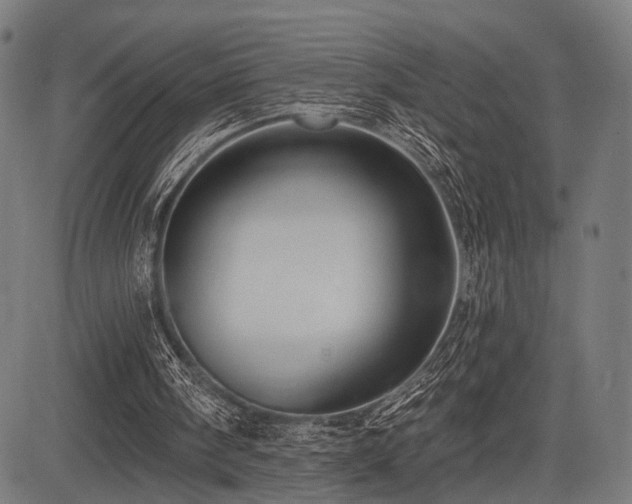 X0000083610098200702121125