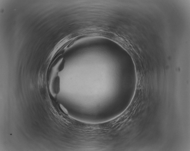 X0000083610099200702121125