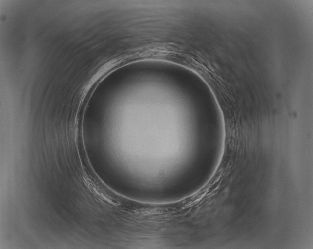 X0000083610100200702121125