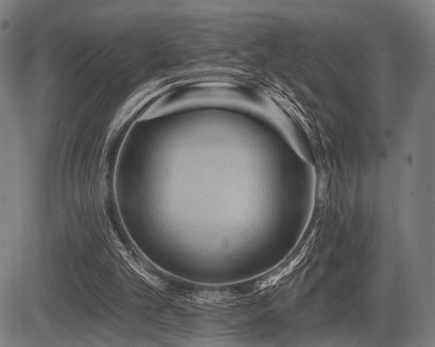 X0000083610101200702121125