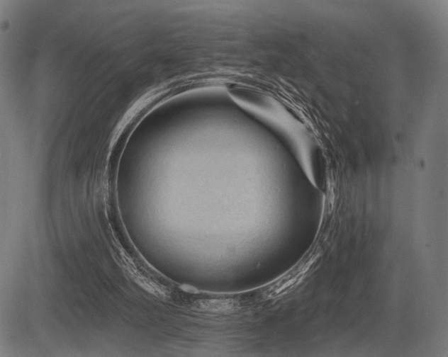 X0000083610102200702121125