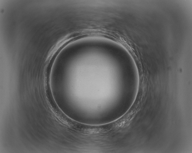 X0000083610103200702121125