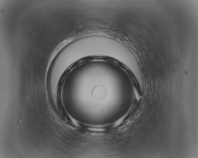 X0000083610104200702121125