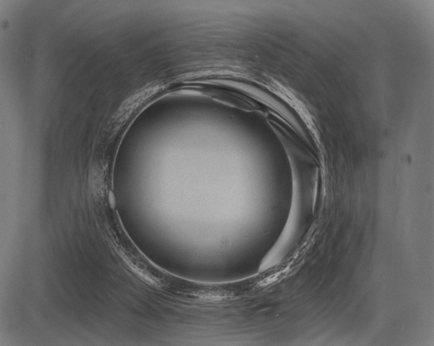 X0000083610105200702121125