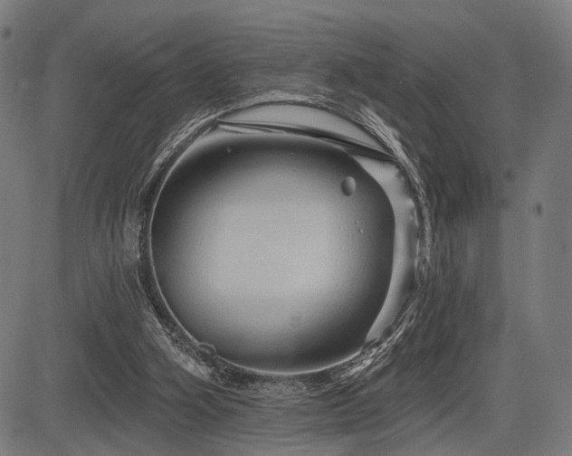 X0000083610106200702121125