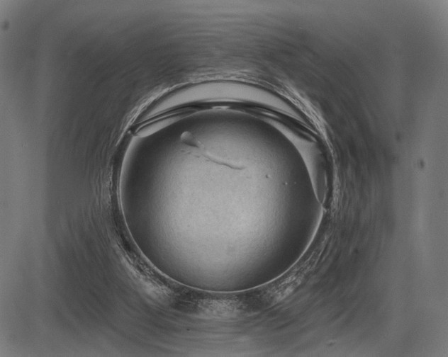 X0000083610107200702121125