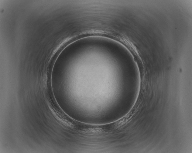 X0000083610108200702121125