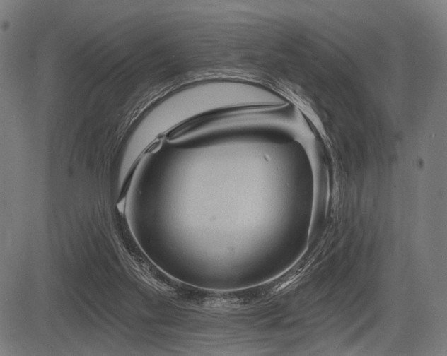 X0000083610109200702121125