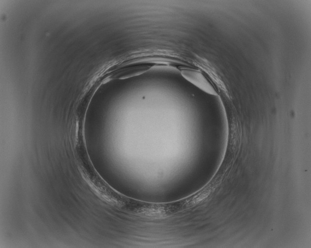 X0000083610110200702121125