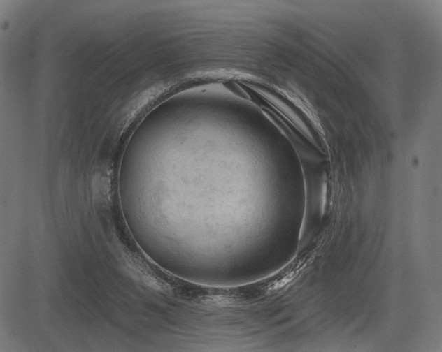 X0000083610111200702121125