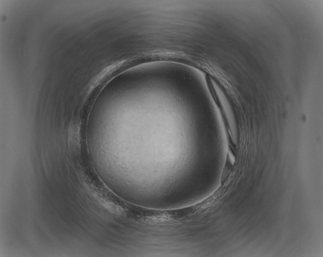 X0000083610112200702121125