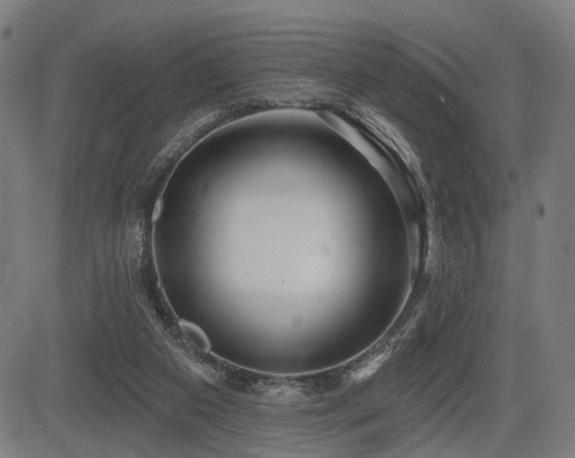 X0000083610113200702121125