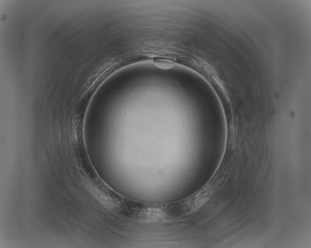 X0000083610114200702121125