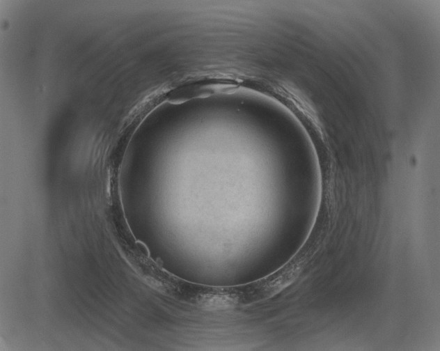 X0000083610115200702121125