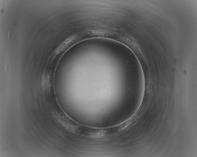 X0000083610116200702121125