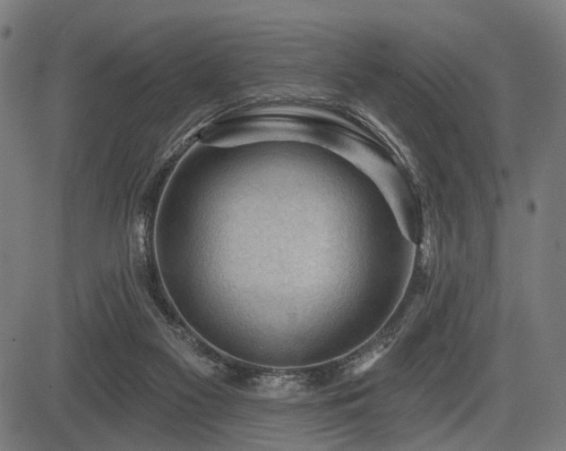 X0000083610117200702121125