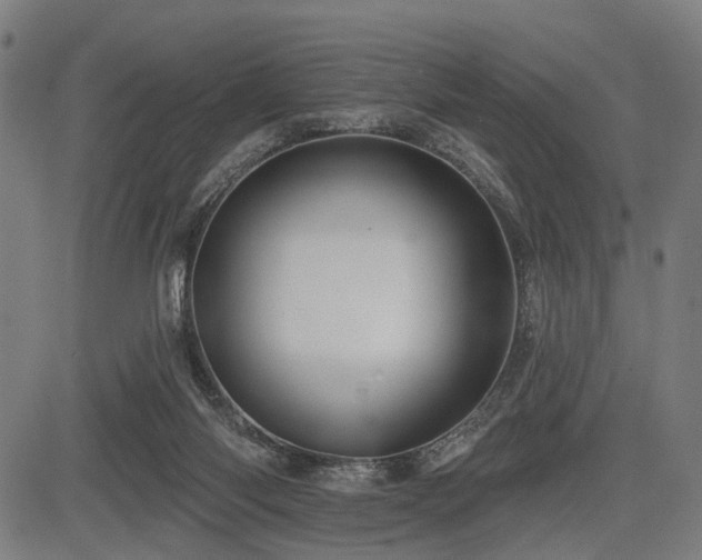 X0000083610118200702121125