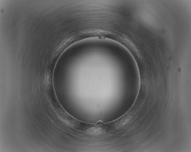 X0000083610119200702121125