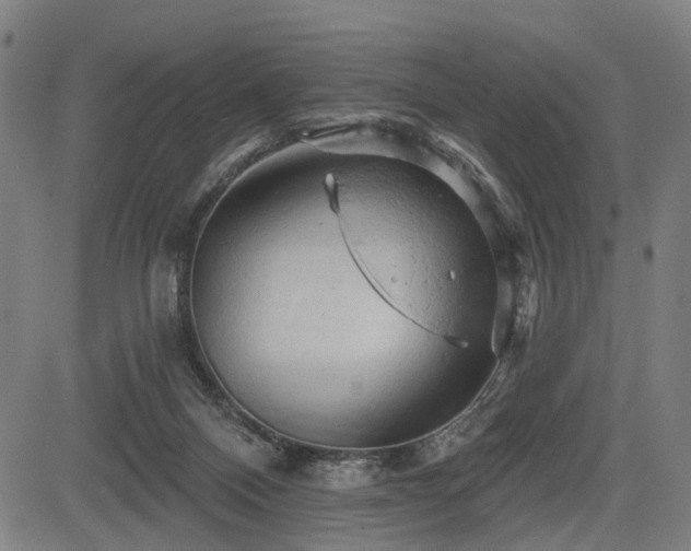 X0000083610120200702121125