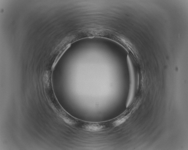 X0000083610121200702121125