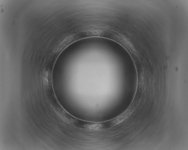 X0000083610122200702121125