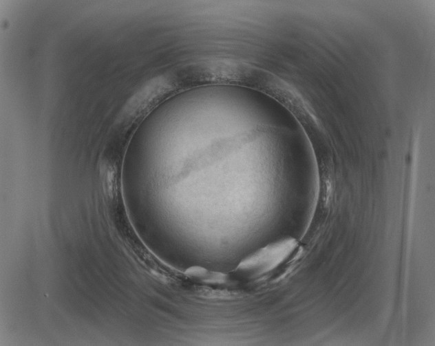 X0000083610123200702121125