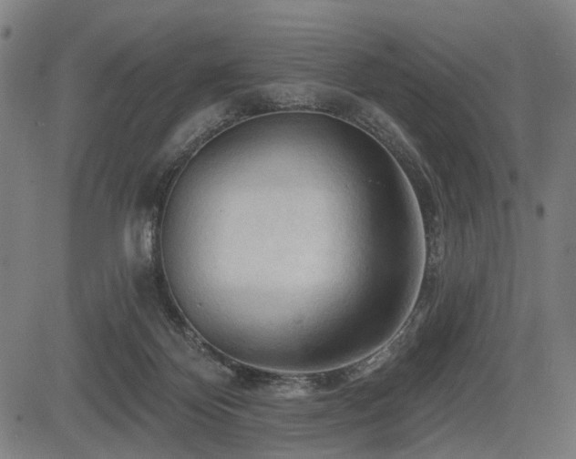 X0000083610124200702121125