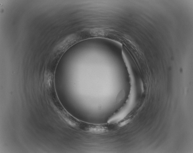 X0000083610125200702121125