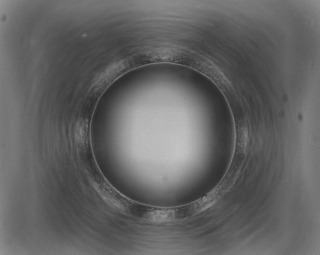 X0000083610126200702121125