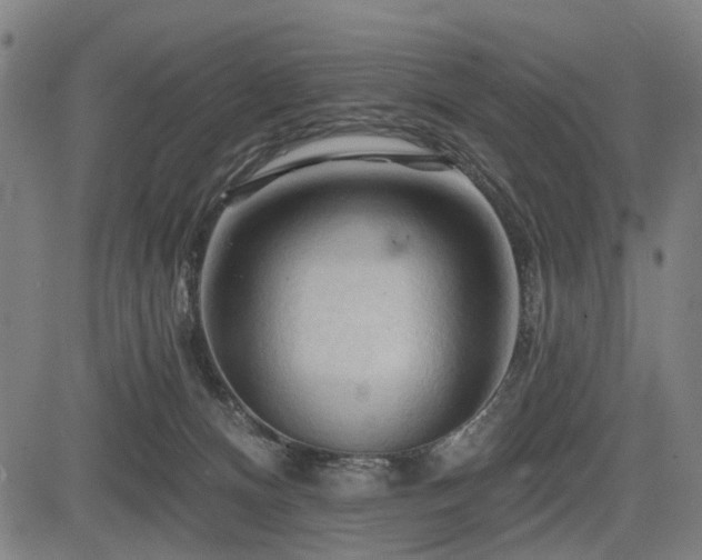 X0000083610128200702121125