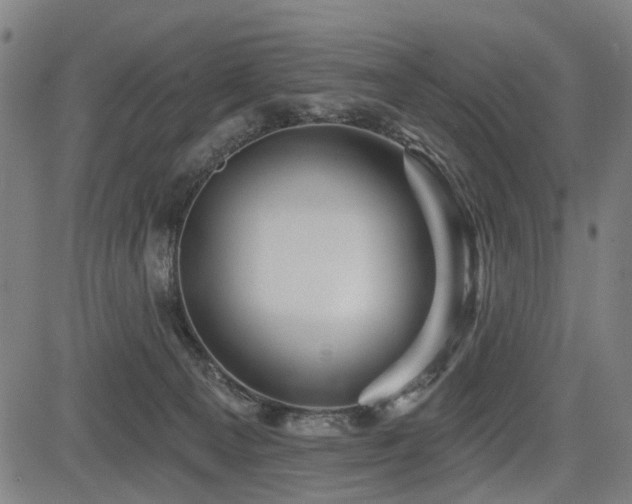 X0000083610129200702121125