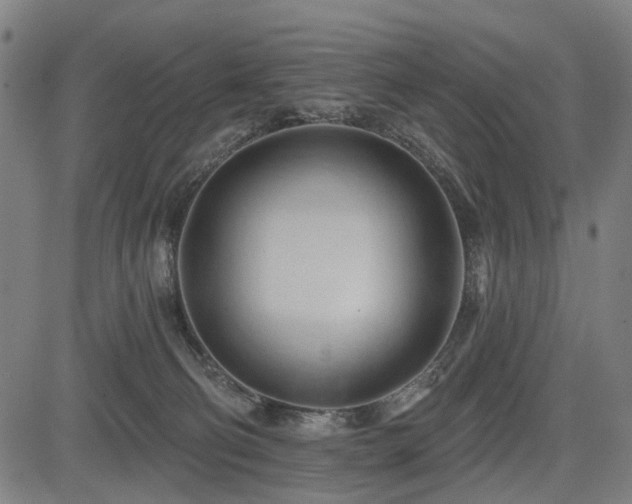 X0000083610130200702121125