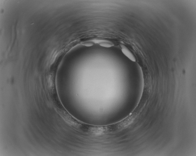 X0000083610131200702121125