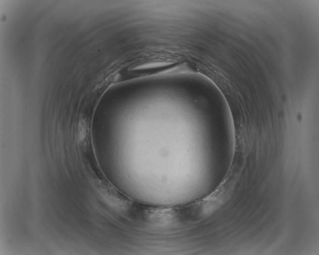 X0000083610132200702121125