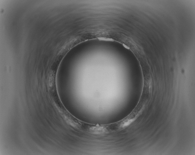 X0000083610133200702121125