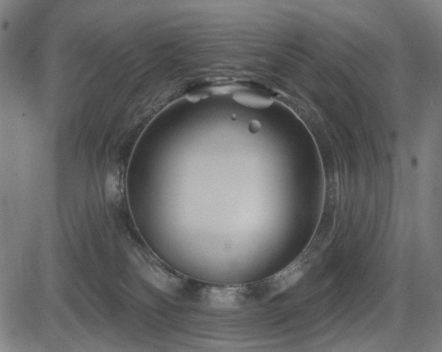 X0000083610134200702121125