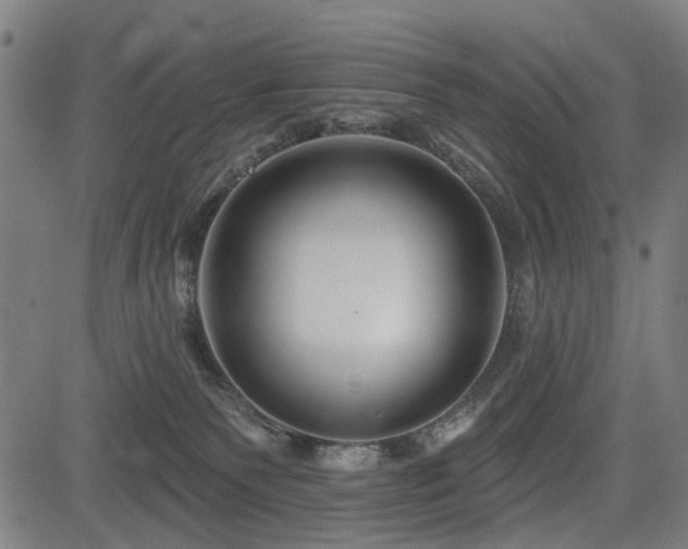 X0000083610135200702121125