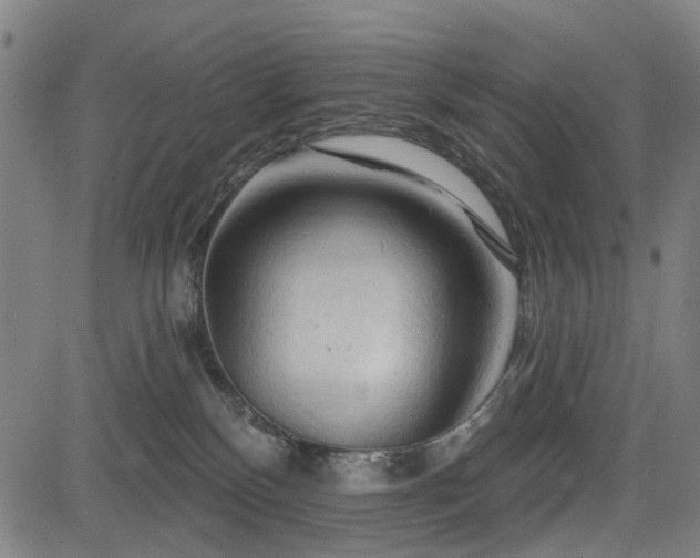 X0000083610136200702121125