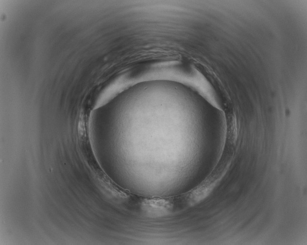 X0000083610137200702121125