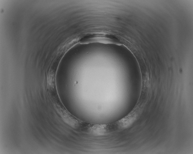 X0000083610138200702121125