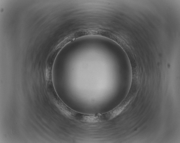 X0000083610139200702121125