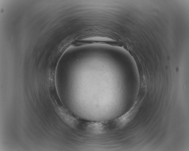 X0000083610140200702121124